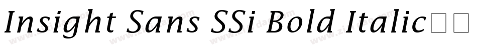 Insight Sans SSi Bold Italic字体转换